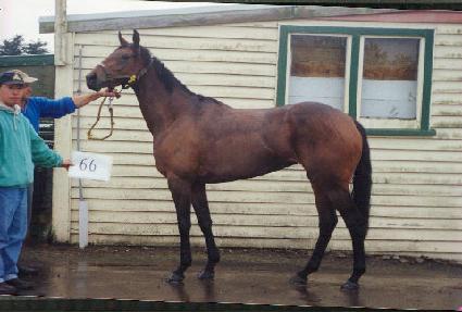 ������ ����