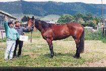 ���θ� (KADURI) ����