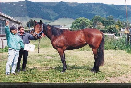 ���θ� ����