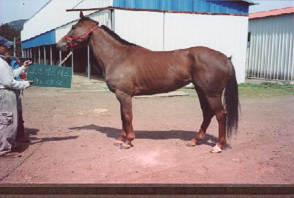 ���ǿ������� ����