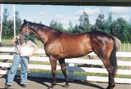 �۵����� ����