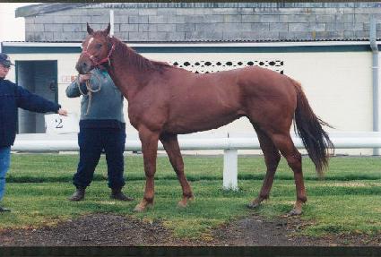 �ν��ڸ��� ����