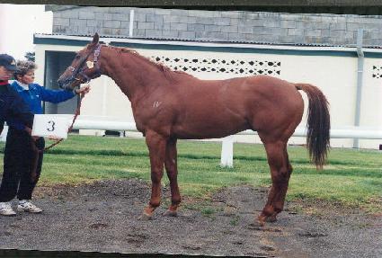 ��彼���ǵ� ����