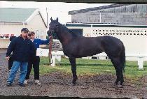 ������� (TONGBANG MYEONGJU) ����