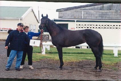 ������� ����