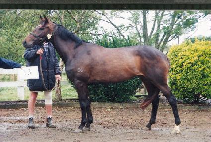 ��ƺ��η��� ����