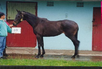 ���ǰ� ����