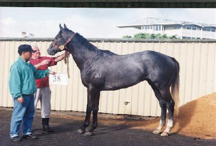 ����ε�� ����