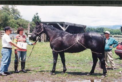 �κ� ����