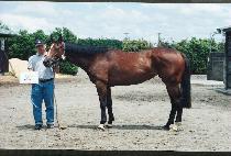 �뽬������ (DASH FOR LOVE) ����