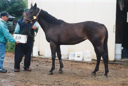 �𷡽ð� ����