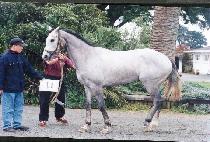 ���̴��ݷ� (VAINIKOLO) ����