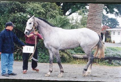 ���̴��ݷ� ����