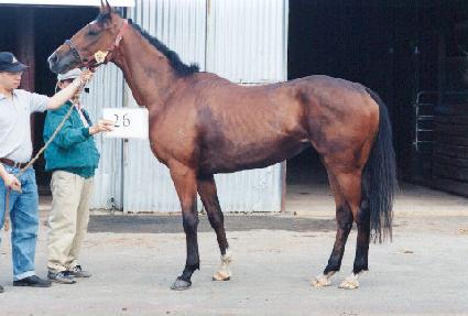 ���ο��� ����