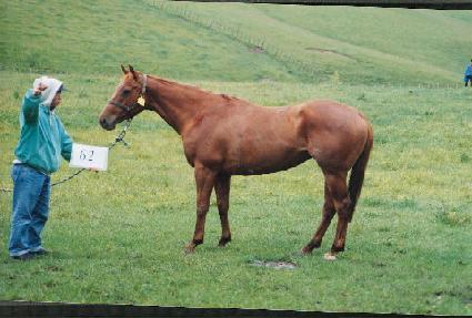 Ȳ�ǿ��� ����