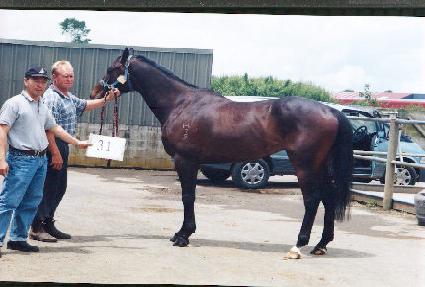 ĸƾ��Ű ����