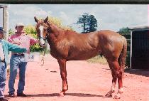 Ȳ�ݼ� (HWANGGEUMSEONG) ����