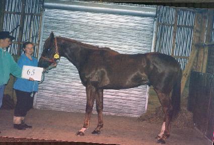 �ƿ������� ����