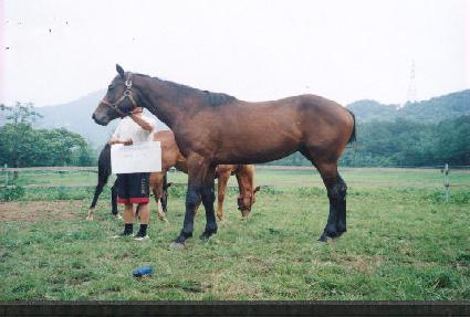 ŷ�Ŀ� ����