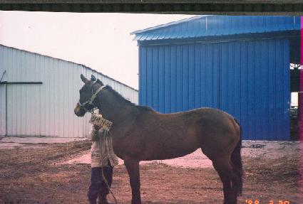 �����־� ����