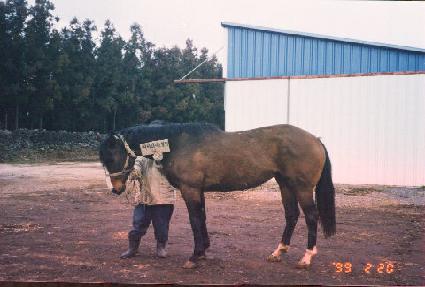 ��Ƽ���̺���ο� ����