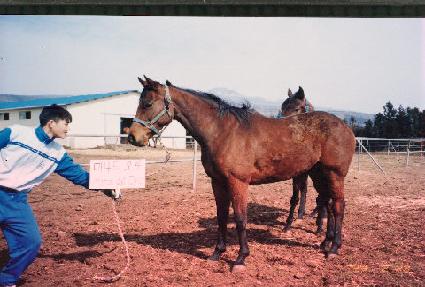 �̳������ ����