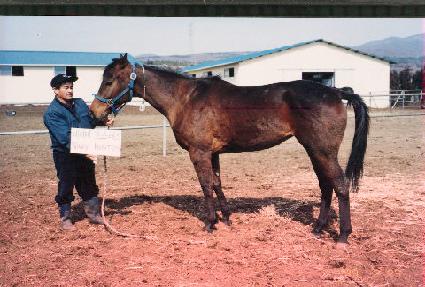 ���̺�ȣ��Ƽ�� ����