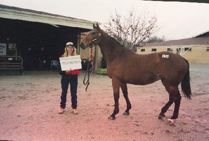 ���ڿ�̽�Ʈ ����