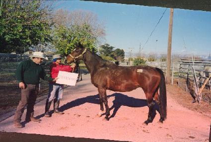 ������� ����