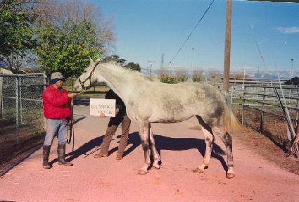 ���丮�����Ƽ ����
