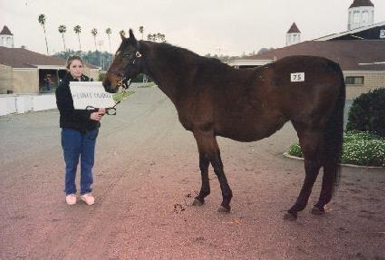 �÷�Ű��Ű ����