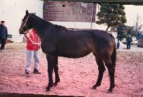 ����������� (PRINCESS LAO) ����