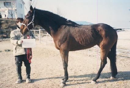 ���ͳ׸���ũ ����