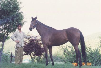 Ȳ�ݳ��� ����