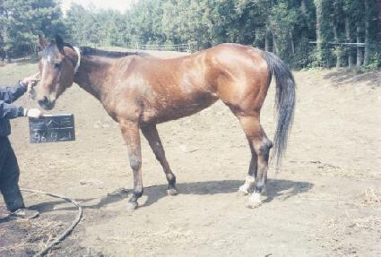 ����Ʈ ����