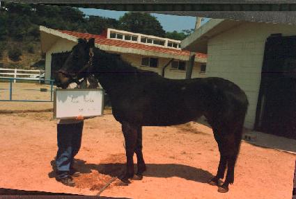 ���ٰ�� ����