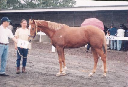 ���庣�� ����