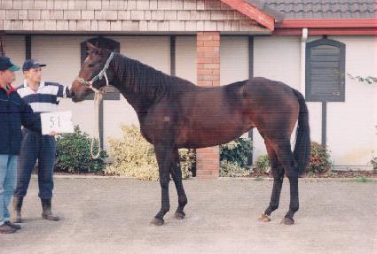 �Ѱ��� ����