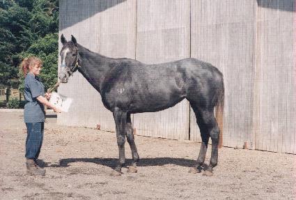 �Ƕ��������� ����