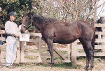 ���־� (YEONJUAM) ����