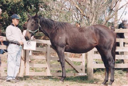 ���־� ����