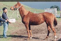 ������ (MYEONGSEONGSAN) ����