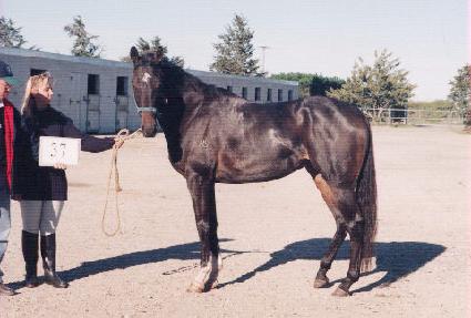 ��ĩê ����