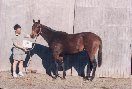 õ��õ ����