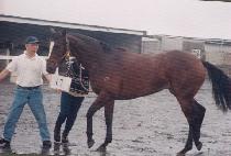 �ູ (CH��UKPOK) ����