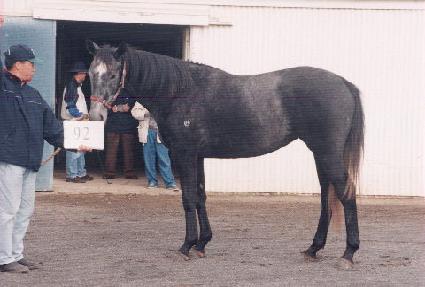 ���� ����