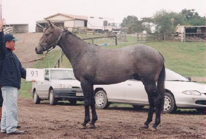 û����ǳ ����