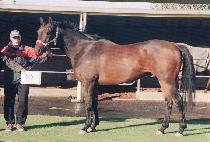 ��Ʋ�� (TONGT��EULTTAE) ����