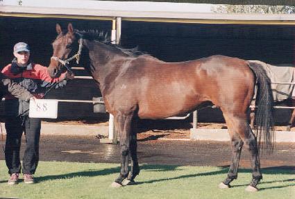 ��Ʋ�� ����