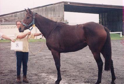 ������õ ����